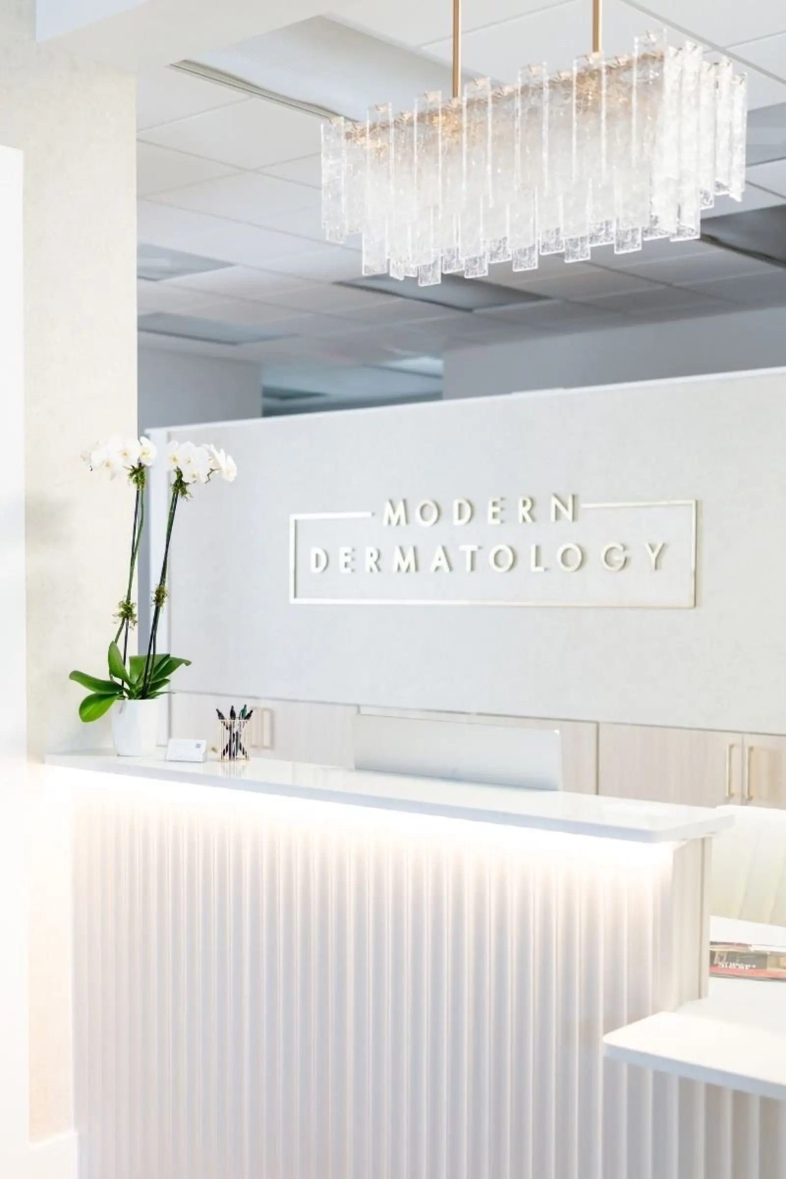 Modern Dermatology reception desk, South Tampa